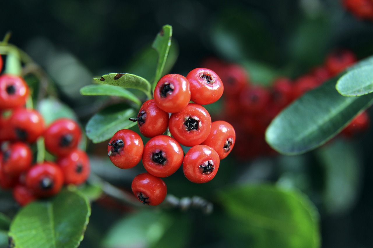 在比赛中 在比赛中