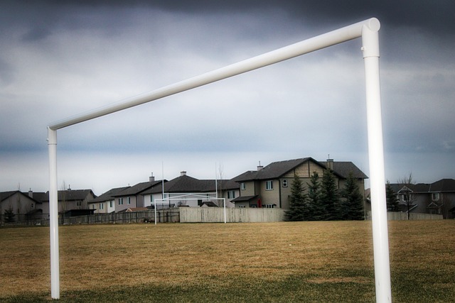 白雪间飞舞 白雪间飞舞