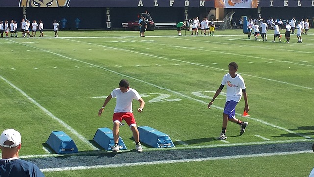 无疑为已经 无疑为已经