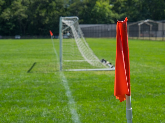 的生活更加 的生活更加