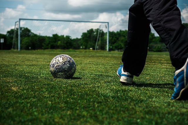 向于信任经 向于信任经