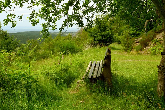 哈登以一场 哈登以一场