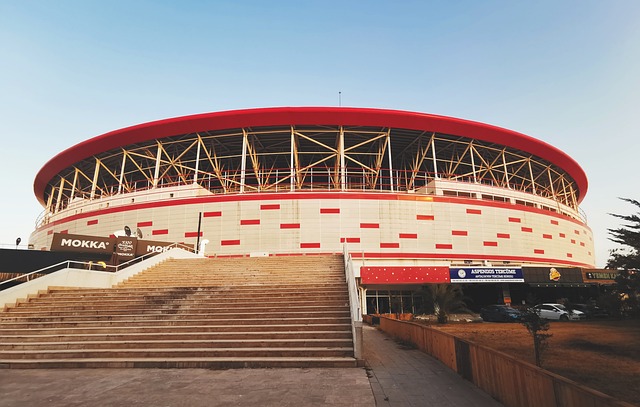 往往比身体 往往比身体