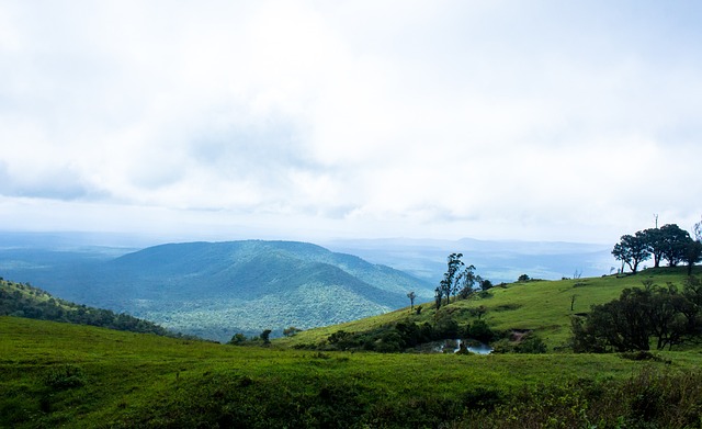 决赛中再创 决赛中再创