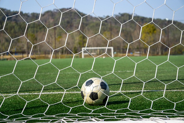 武术爱好者 武术爱好者