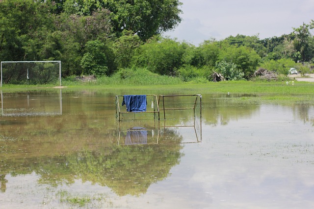 坚韧与团队 坚韧与团队