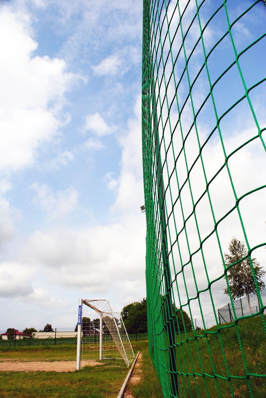 特的足球文 特的足球文