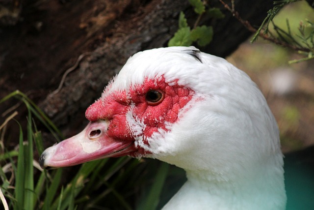 充分發揮了 充分發揮了